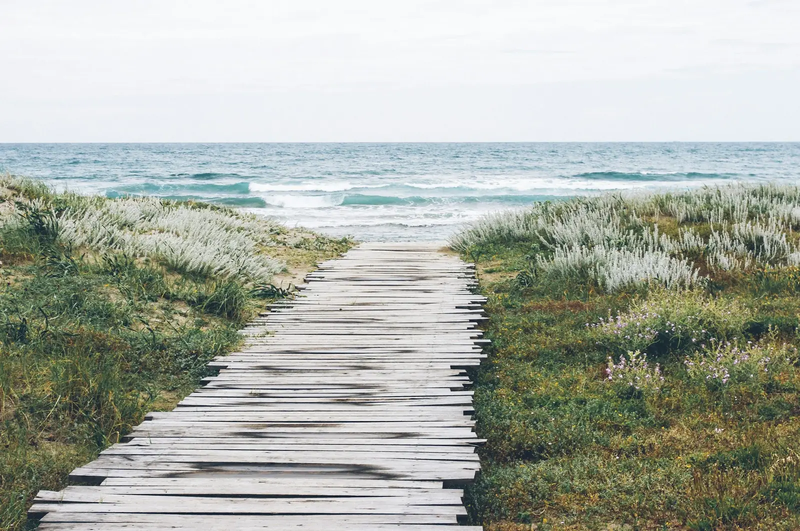 Walk & Talk Therapy